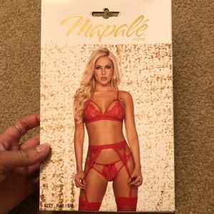 3 Piece Garter Lingerie set